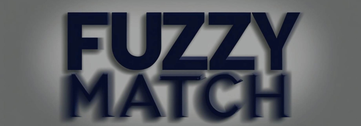 The words Fuzzy Match in capitals on a grey background, with a blurred effect