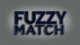 The words Fuzzy Match in capitals on a grey background, with a blurred effect
