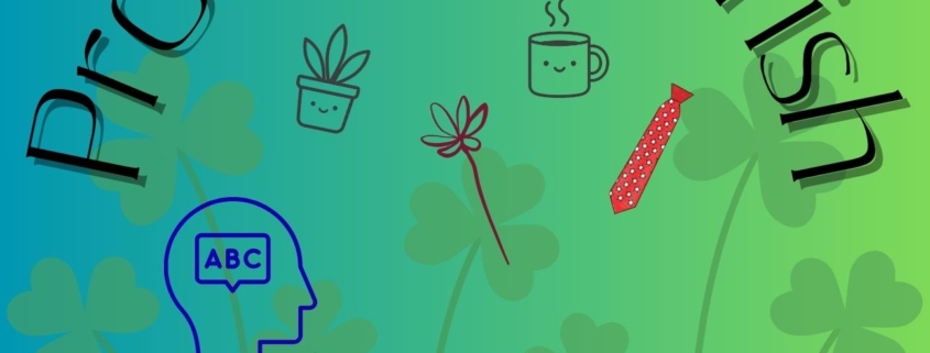 Pronouns in Irish on a green background with different everyday objects and the STAR logo
