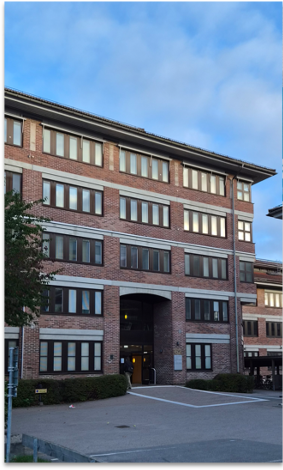 STAR NEO Swedish Translation agency