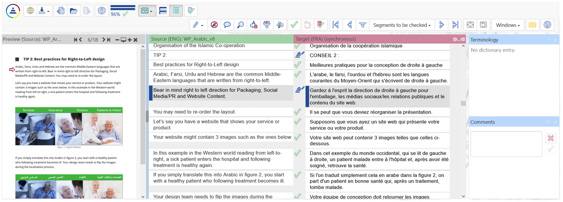 CLM WebEdit Picture Showing a document translation being edited.